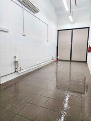 The Promenade@Pelikat (D19), Shop House #451494301